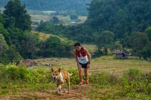 BIB: 1527
                            <button type="button" onclick="openModal(16010293)" class="btn btn-primary btn-sm float-right btn-popup" data-toggle="modal" data-target=".modal-high-quality">
                        <i class="fas fa-shopping-cart"></i> Add to Cart
                    </button>
                                            <button type="button" onclick="isThisMe(16010293, true)" class="btn btn-success btn-sm float-right btn-popup btn-isme hidden" data-toggle="tooltip" data-placement="bottom" title="นี่คือรูปของคุณใช่ไหม คลิกที่นี่เพื่อเอาเข้าอัลบั้ม">
                        <i class="fas fa-plus"></i> Add to album
                    </button>
                    <button type="button" onclick="isThisMe(16010293, false)" class="btn btn-warning btn-sm float-right btn-popup btn-isnotme hidden">
                        <i class="fas fa-ban"></i> Remove from album
                    </button>